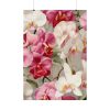 92411-276.jpg Vintage Orchid Seamless Poster
