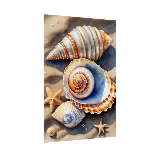 Starfish Sand Beach Art Poster