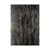 92411-35.jpg Dying Poplar and Live Branch Poster