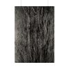 92411-36.jpg Dying Poplar and Live Branch Poster