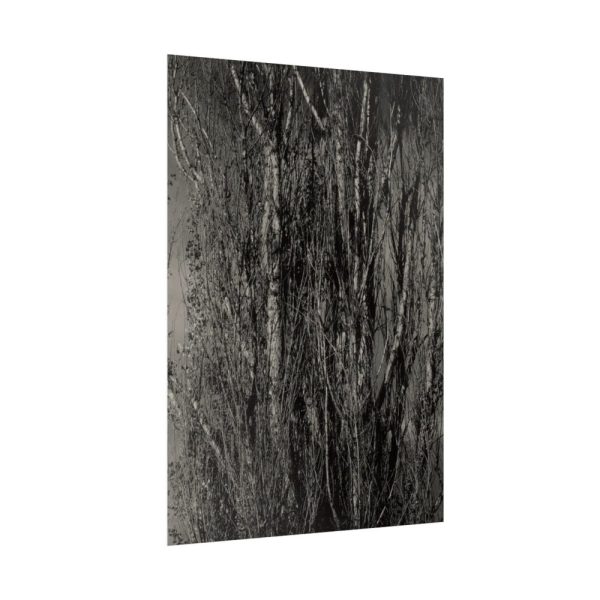 92411-37.jpg Dying Poplar and Live Branch Poster