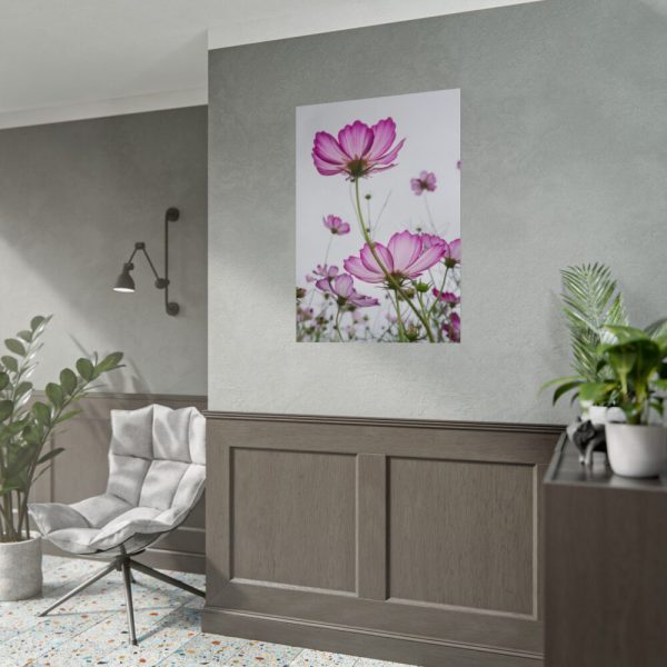 92411-44.jpg Pink Cosmos I Poster