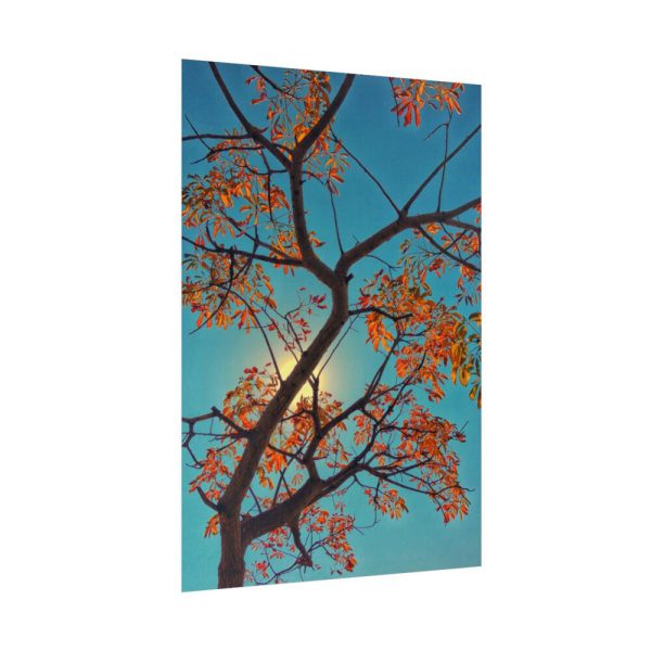 92411-62.jpg Autumn Sky Poster