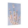 92411-67.jpg Plum Branches with blossoms Poster