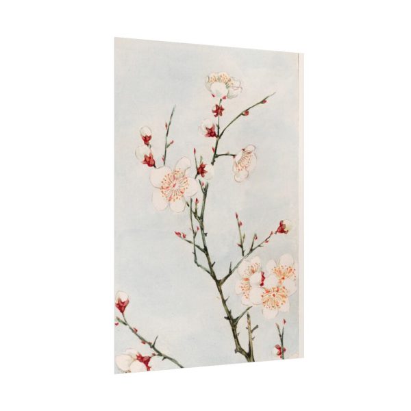 92411-72.jpg Peach Blossoms Poster