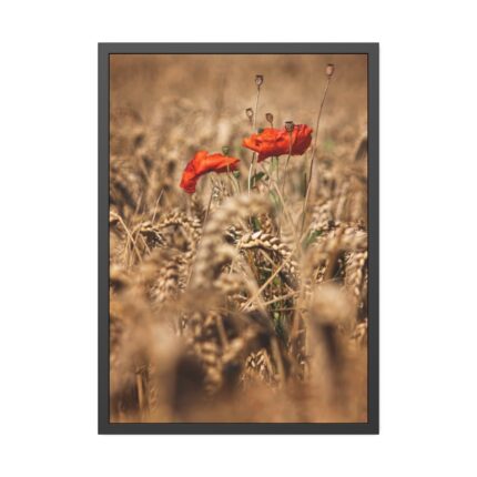 Poppy in Cornfield Framed Poster