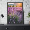Lavender Flowers Field Framed Poster