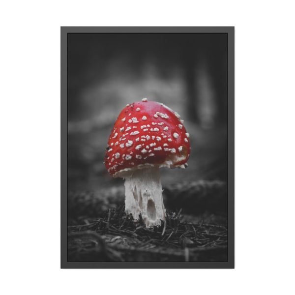 93830-120.jpg Amanita Muscaria Framed Poster