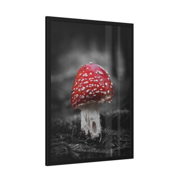 93830-121.jpg Amanita Muscaria Framed Poster
