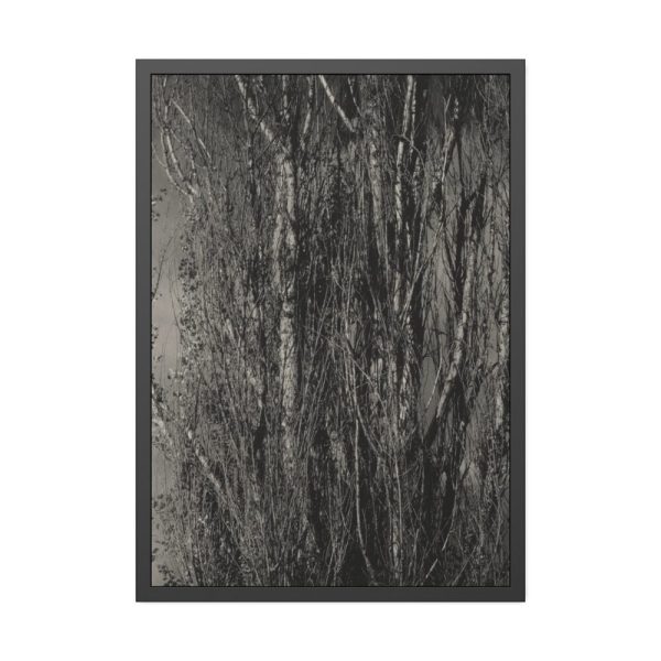 93830-24.jpg Dying Poplar and Live Branch Framed Poster