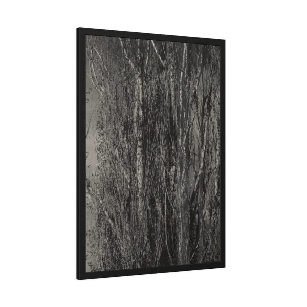 93830-25.jpg Dying Poplar and Live Branch Framed Poster