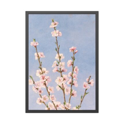 Plum Branches with blossoms Framed Poster
