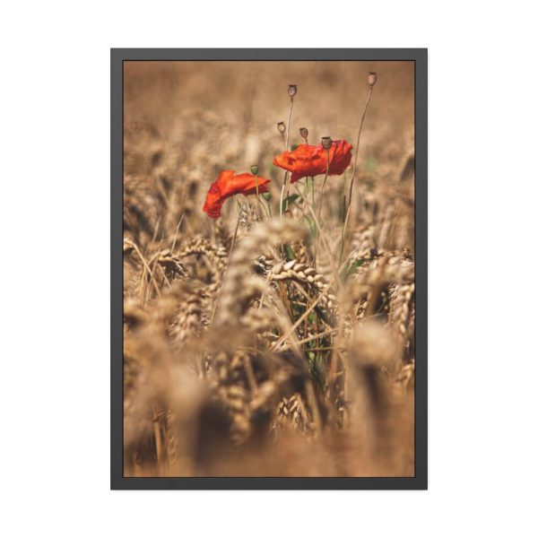 93831-100.jpg Poppy in Cornfield Framed Poster