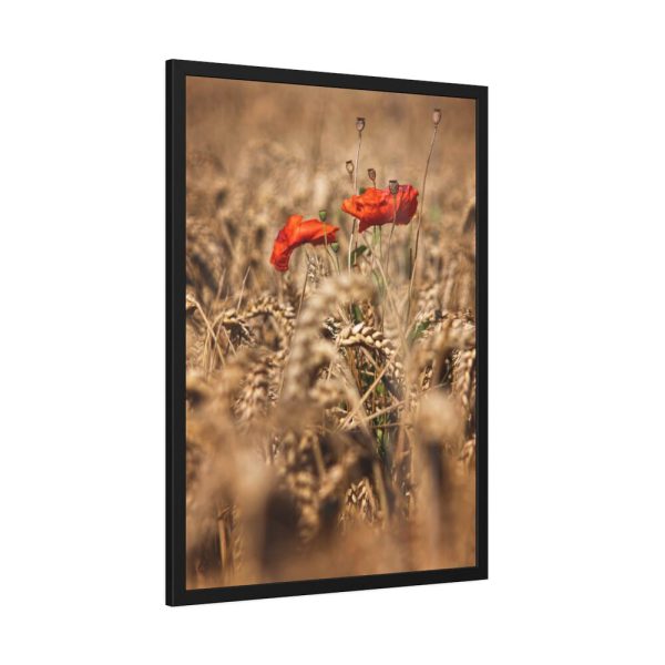 93831-101.jpg Poppy in Cornfield Framed Poster