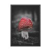 93831-120.jpg Amanita Muscaria Framed Poster
