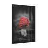 93831-121.jpg Amanita Muscaria Framed Poster