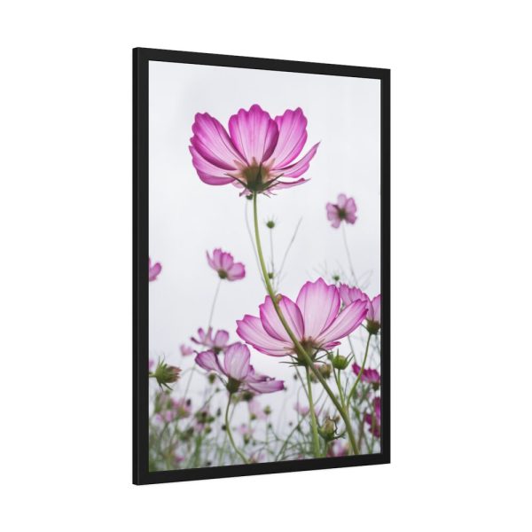 93831-29.jpg Pink Cosmos I Framed Poster