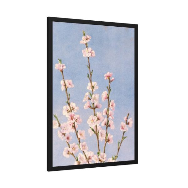 93831-49.jpg Plum Branches with blossoms Framed Poster