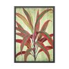 93831-80.jpg Vintage Palm Tree Plant Flower Framed Poster