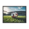 93854-184.jpg Soccer Ball On The Field Framed Poster