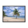 93854-260.jpg Coast With Palm Tree Framed Poster