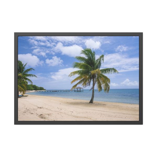 93854-260.jpg Coast With Palm Tree Framed Poster