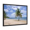 93854-261.jpg Coast With Palm Tree Framed Poster