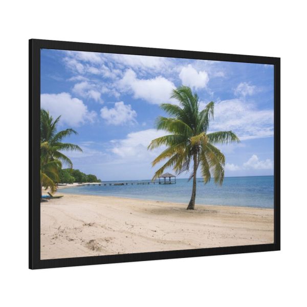 93854-261.jpg Coast With Palm Tree Framed Poster