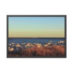 Coast in Sunset II Framed Poster