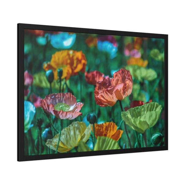 93854-333.jpg Colorful Blooming Poppies Framed Poster