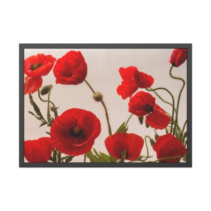 Red Poppy Framed Poster