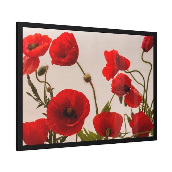 93854-341.jpg Red Poppy Framed Poster