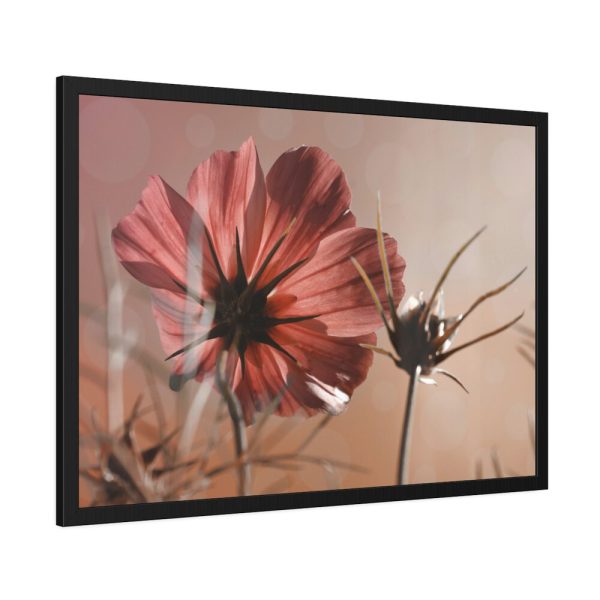 93854-361.jpg Pink Cosmos II Framed Poster