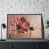 93854-363.jpg Pink Cosmos II Framed Poster