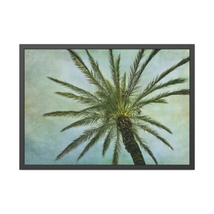 Vintage Palm Tree Canopy And Sky Framed Poster