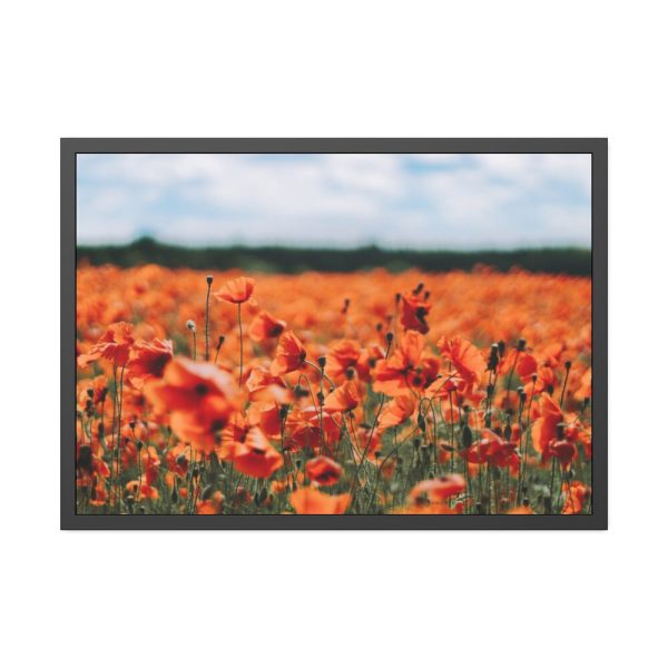 93854-445.jpg Beautiful Red Field Framed Poster