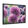 Ornamental Allium Flower Framed Poster