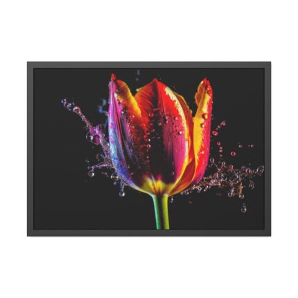 Close-up Shot Tulip Framed Poster