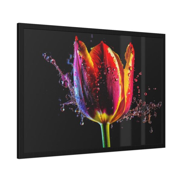 93854-493.jpg Close-up Shot Tulip Framed Poster