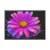 93854-536.jpg Colorful Daisy Framed Poster