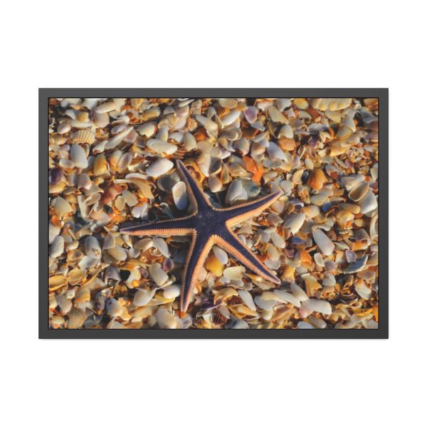 93854-596.jpg Starfish And Shells Framed Poster