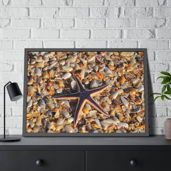 93854-599.jpg Starfish And Shells Framed Poster