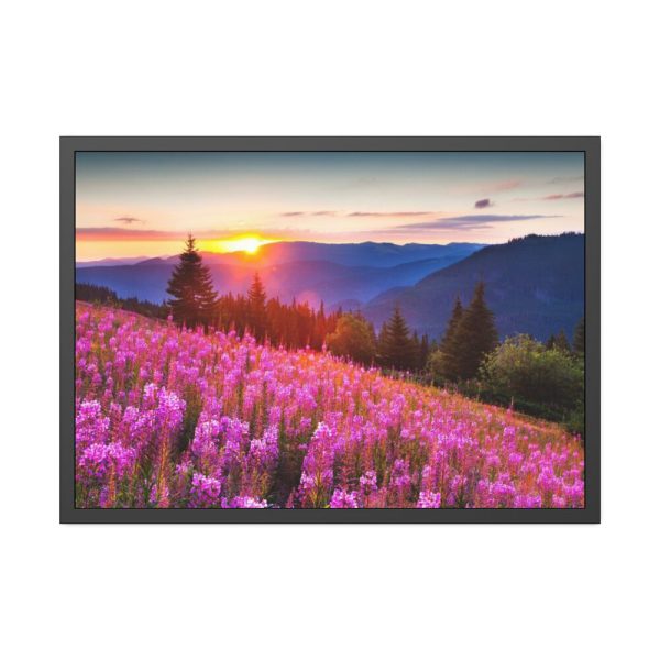 93854.jpg Sunlight Afterglow Framed Poster