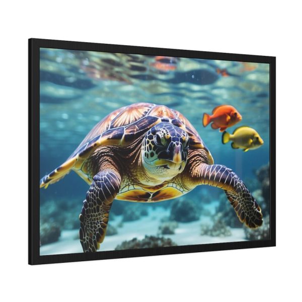 Swimming Sea Turtle Framed Poster