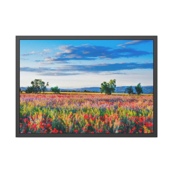 93855-336.jpg Red Poppy Field Framed Poster