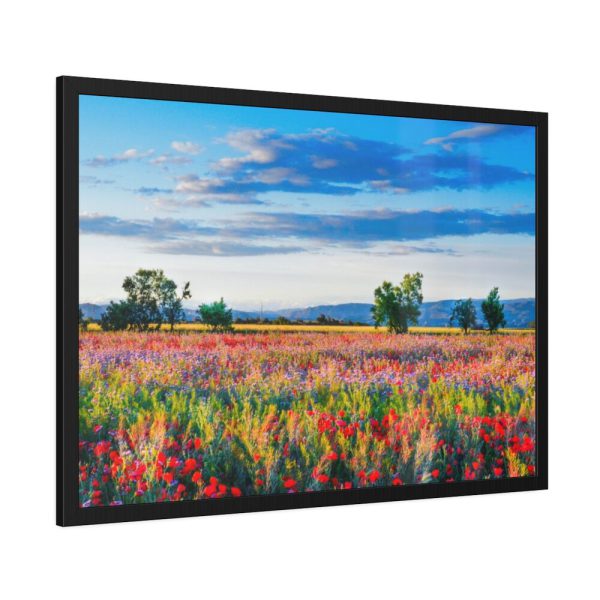 93855-337.jpg Red Poppy Field Framed Poster