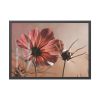 93855-357.jpg Pink Cosmos II Framed Poster
