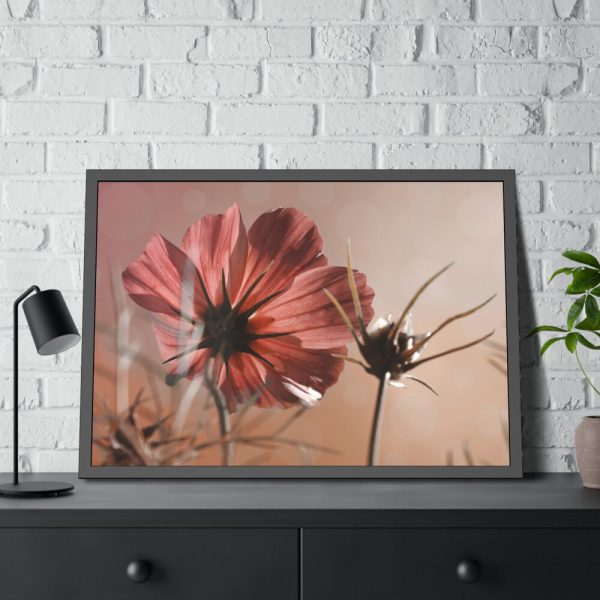 93855-360.jpg Pink Cosmos II Framed Poster
