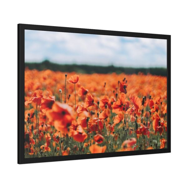93855-438.jpg Beautiful Red Field Framed Poster