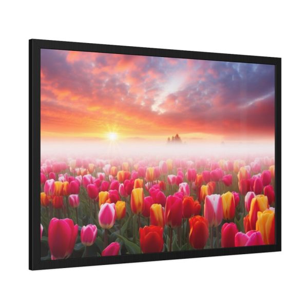 93855-479.jpg Tulip Field In The Morning Framed Poster